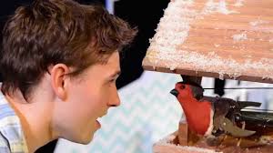 The Pied Piper Theatre Company