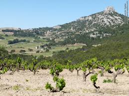 The length of the valley means that rhone wines are the product of a wide variety of soil types and mesoclimates. White Wines From The Rhone Quentin Sadler S Wine Page