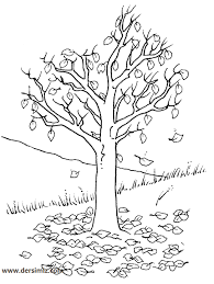 Agaclar Boyama Resmi Sonbahar Agaclari Boyama Sayfalari Resim