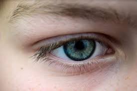 Ever Heard Of Eyebrow Dandruff The Health Adventures In 2020 Eyebrow Dandruff Eyebrows Dandruff