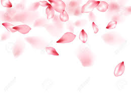 We did not find results for: Apple Flower Flying Petals Isolated On White Blowing Beauty Salon Background Japanese Sakura Petals Springtime Confetti Blossom Elements Flying Falling Cherry Bloom Flower Parts Design Royalty Free Cliparts Vectors And Stock Illustration