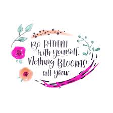 Be Patient With Yourself Nothing Blooms All Year Www Kileyinkentucky Com Be Patient Quotes Cool Words Year Quotes