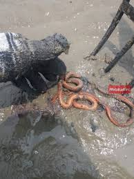 Perairan pantai meliputi perairan di daerah paparan benua dan perairan semi tertutup (mihardja, 1989). Umpun Umpun Umpan Memancing Ikonik Di Melaka Melakakini