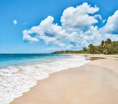 Thread your needle and stitch to your heart's content in our embroidery and cross stitch corner at lovecrafts! Martinique In 360 Decouvrez La Martinique Ses Incontournables Et Organisez Votre Sejour Hebergements Restaurants Activites Evenements Patrimoine