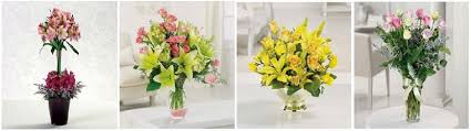 We did not find results for: The 8 Best Options For Flower Delivery In Rapid City San Diego 2021