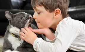 Gatti, animali perfetti per bambini con autismo | Tutto Zampe