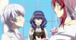 Pin By Lightning Fantasy On Sasha Mafuyu Kawaii Anime The Qwaser Of Stigmata Anime