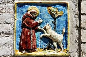 Some of us are believed to be closer to the divine than others. St Francis As Well As A Cat Helped Me Understand The Souls Of Animals Earthbeat National Catholic Reporter