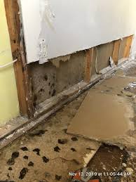Read more to learn about how to prevent black mold from becoming a further there are proven methods that can be used to remove black mold from your walls. How To Detect Black Mold Within Walls Cheap Ceiling Fans Ceiling Fan Replacement Glass Gypsum Wall