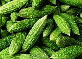 Tanaman tembikai has 17,507 members. Ciri Dan Penanaman Tembikai Pahit Momordica Charantia Berkebun Hidup