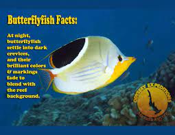 Facts Marine Biology Learning Center Page 3