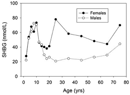 Shbg binds to testosterone, dht and estradiol and circulates the hormones throughout the body. Shbg Sex Hormone Binding Globulin Levels Causes Of High Or Low Shbg