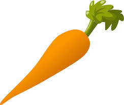 Food Carrot Icons Png Free Png And Icons Downloads