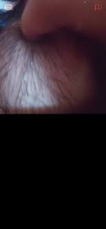 Pinay Ome tv 4 - Porn Videos & Photos - EroMe