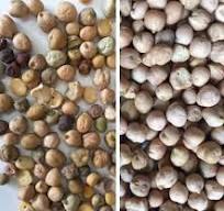 Chickpea Color Sorter Machine for Farm Sorting Chickpea ...