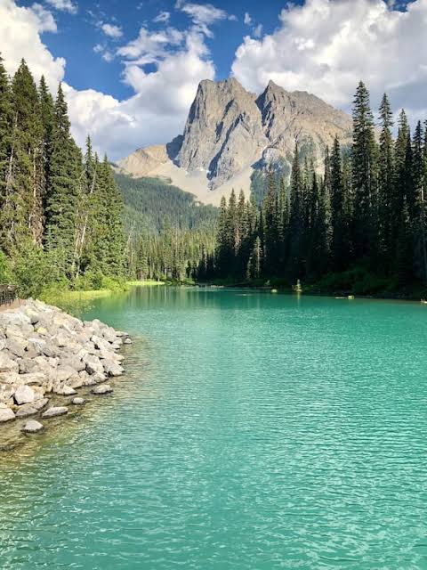 Scenery Images - Free Download on Magnific (formerly Freepik)