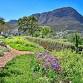 Franschhoek Open Gardens Show event image