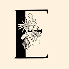Here's what happened to those six lost letters. The Beauty Of Letters Cara Ord Create