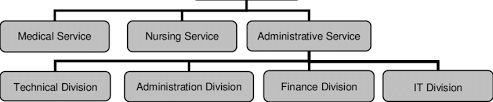 Proposed Organization Chart Regarding The It Division Of