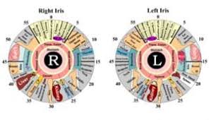 iridology etobicoke sclerology etobicoke better living