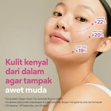 Innisfree Collagen Green Tea Ceramide Bounce Cream