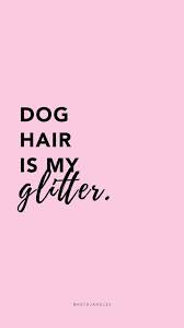 Free Hd Dog Quote Wallpapers Backgrounds Hey Djangles Dog Quotes Funny Dog Mom Quotes Cute Dog Quotes