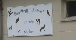 Girl gives shelter donations instead of birthday presents