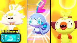 Which of the pokemon sword and shield starters is for you? All 3 Shiny Starter Pokemon From Gen 8 Shiny Scorbunny Shiny Grookey Shiny Sobble Youtube