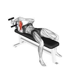 Maybe you would like to learn more about one of these? Schlaffe Oberarme Trainieren Top 5 Ubungen Bilder Videos