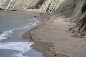 Bowling Ball Beach Point Arena Ca California Beaches