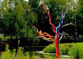 Arbre Mort Bois Flotte Et Souche D Arbre Pour Decorer Le Jardin Souche D Arbre Arbre Mort Arbre Deco