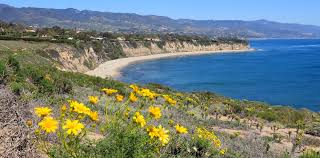 Announcing the departure of winter with lovely pink, purple, yellow, or white petals, crocuses are one of the best early spring flowers. Best Places To See Spring Flowers In Southern California