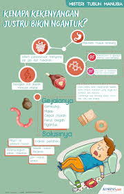 Kenapa pipi memerah saat tersipu malu? Infografik Misteri Tubuh Manusia Kenapa Kenyang Bikin Ngantuk