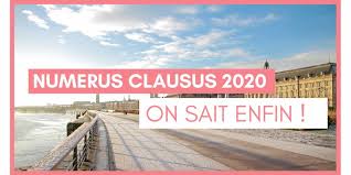 Numerus Clausus 2020 Les Donnees En Medecine Pour La Paces 2020 Thotis