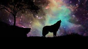 We did not find results for: Dark Wallpapers 4k Uhd 16 9 Desktop Backgrounds Hd Pictures And Images