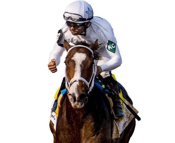 Patch Adams - WinStar Farm