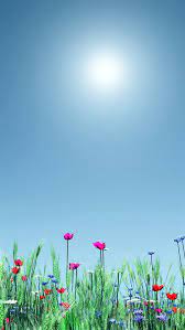 Check out this fantastic collection of cute scenery wallpapers, with 69 cute scenery background images for your desktop, phone or tablet. Little Wild Flower Sunshine Bright Scenery Iphone 8 Wallpapers Free Download