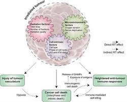 Under its spell, she can write a poem, compose a song or tear the veil off mysteries the philosophers have pondered for centuries.moonlight, this is the time when there are maximum chances of catching. Frontiers Molecular Mechanisms Of Radiation Induced Cancer Cell Death A Primer Cell And Developmental Biology