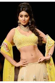 Do i prefer showing my navel in a saree? Is It Okay To Reveal My Navel In A Lehenga Quora