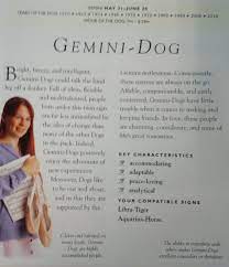 Pin By Cassy Chester On Astrology Gemini A Donkey