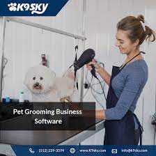 See more ideas about hairstyle, hair styles, long hair styles. K9 Grooming The Trendiest Hairstyle For Your Dog Ko Fi Where Creators Get Donations From Fans With A Buy Me A Coffee Page