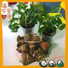 送你个粽子幸运铺满清新的叶快乐裹成美味的馅闻起来是温馨吃起来是甜蜜咽下去是幸福回味着是美满端午节快乐
