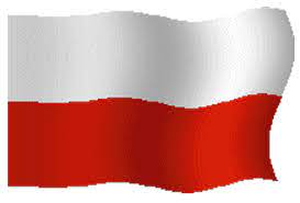 Someone asked what other nearby countries' pages looked like for comparison. Polish Flag On Gifs 26 Animated Gif Pics For Free