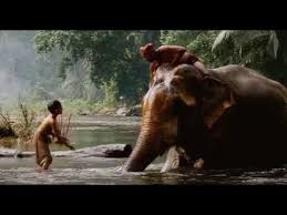 Ong Bak 2 El Protector Tonny Jaa Espanol Hd Elephant Animals Protector