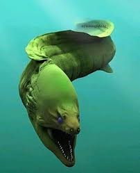 What Would You Do If You Saw This Sea Monster Swimming Towards You Do You Know What This Fish Is Follow Us Ocean Creatures Animals Deep Sea Creatures