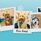 The Pup Up Café Returns to The Harvey Centre!  event image