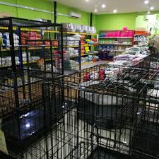 10a, tingkat 1 persiaran metafasa u 16/5 taman bukit subang 40160 shah alam, selangor. Pet Micasa Shah Alam Branch Shah Alam Selangor