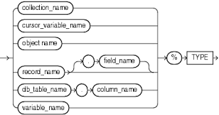 Type Attribute