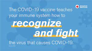 While it no longer recommends that every traveler isolates for two weeks after. Covid 19 Cdc Says Fully Vaccinated People Can Travel
