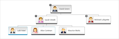 Org Chart Component Wpf Ultimate Ui